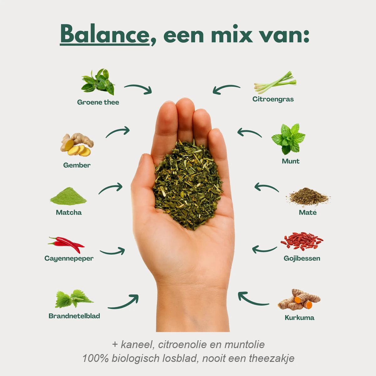 Balance, een mix van: groene thee, gember, matcha, cayennepeper, brandnetelblad, citroengras, pepermuntblad, maté, gojibessen en kurkuma, plus kaneel, citroenolie en muntolie