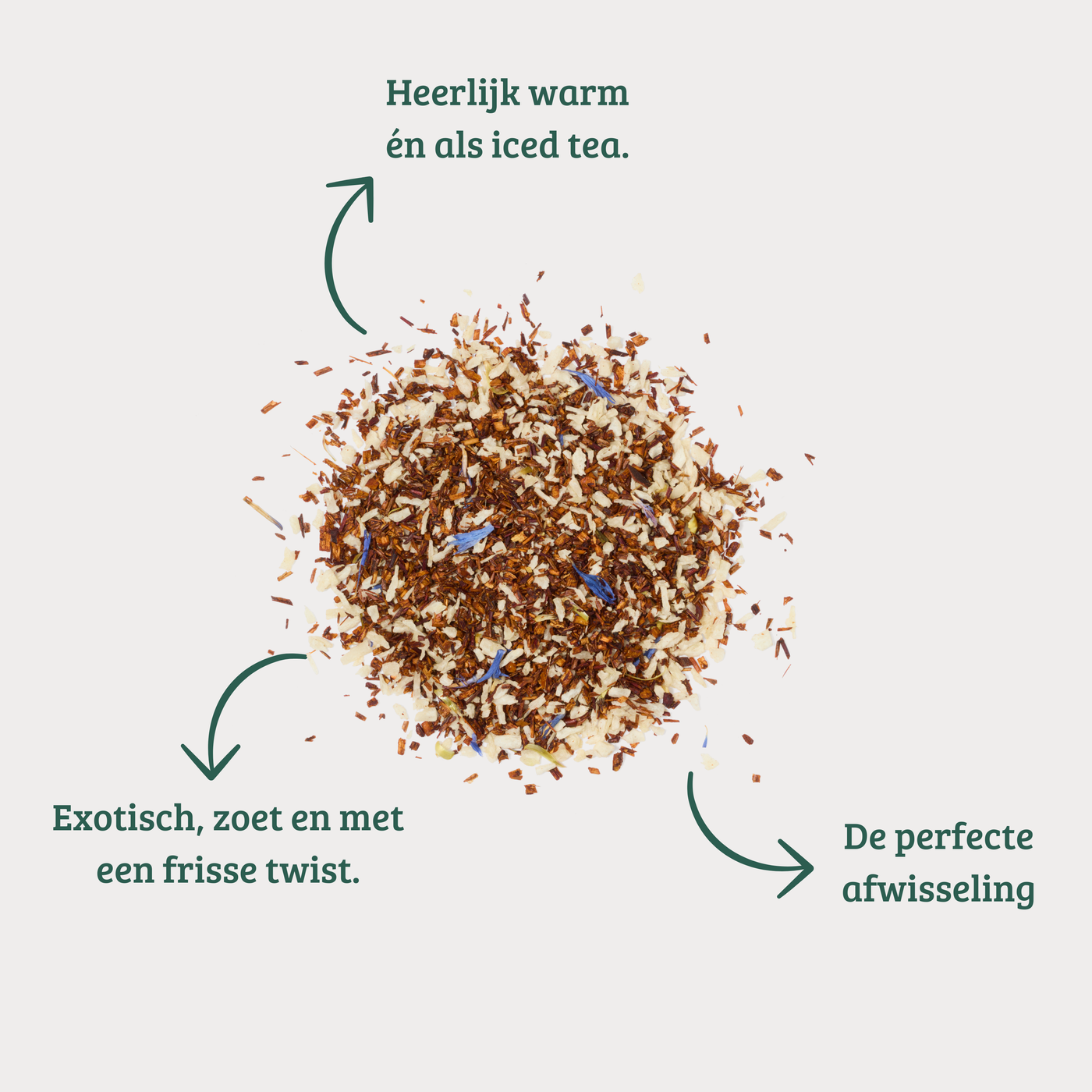 Exotic - Tropische Rooibos infusie met Ananas & Kokos