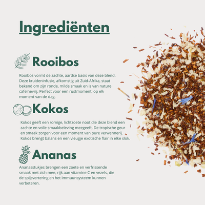 Exotic - Tropische Rooibos infusie met Ananas & Kokos