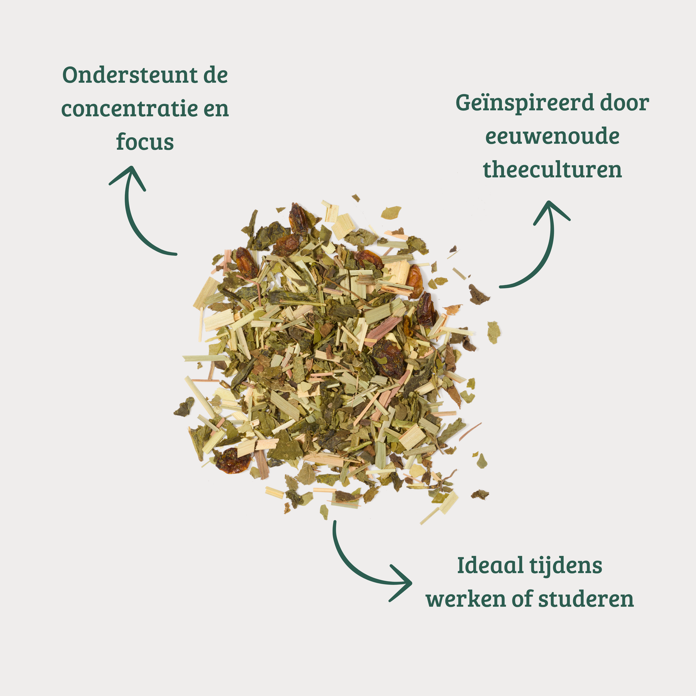 Focus - Groene Thee met Citroengras en Maté voor Helderheid