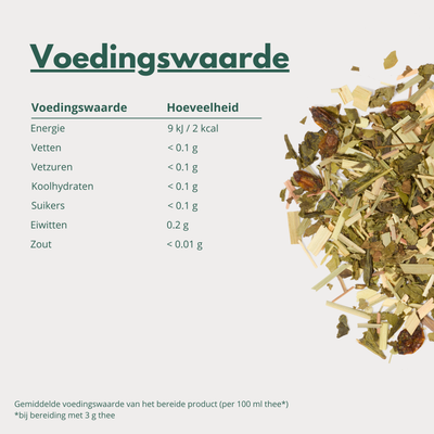 Focus - Groene Thee met Citroengras en Maté voor Helderheid