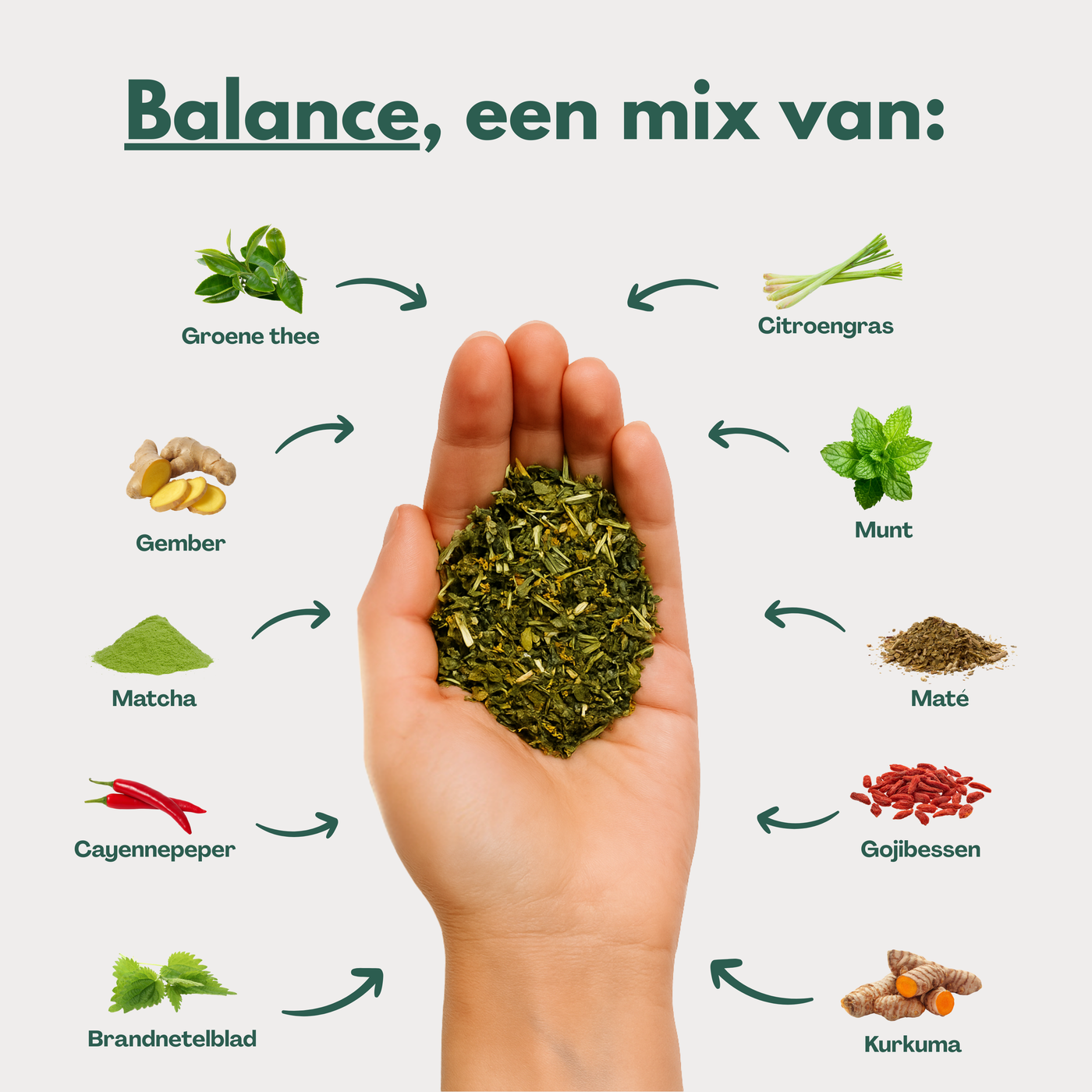 Balance - Kruidenthee met Brandnetel voor Kalmte