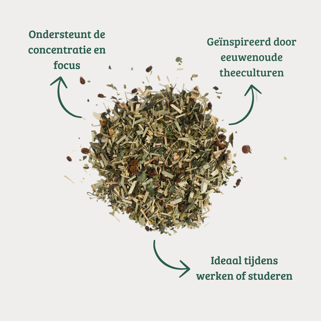 Focus - Groene Thee met Citroengras en Maté voor Helderheid