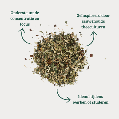 Focus - Groene Thee met Citroengras en Maté voor Helderheid