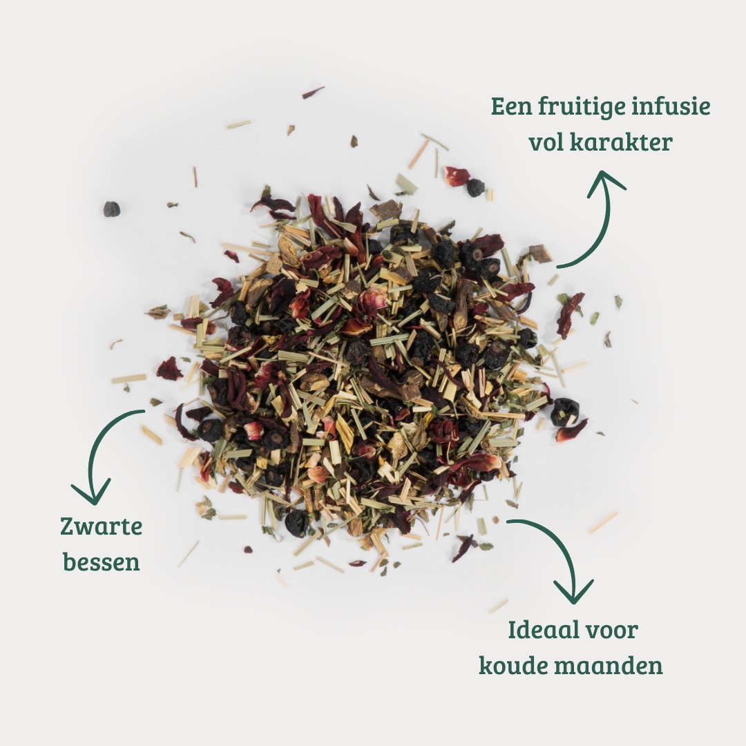 Protection - Fruitige Kruideninfusie met Zwarte Bes & Hibiscus