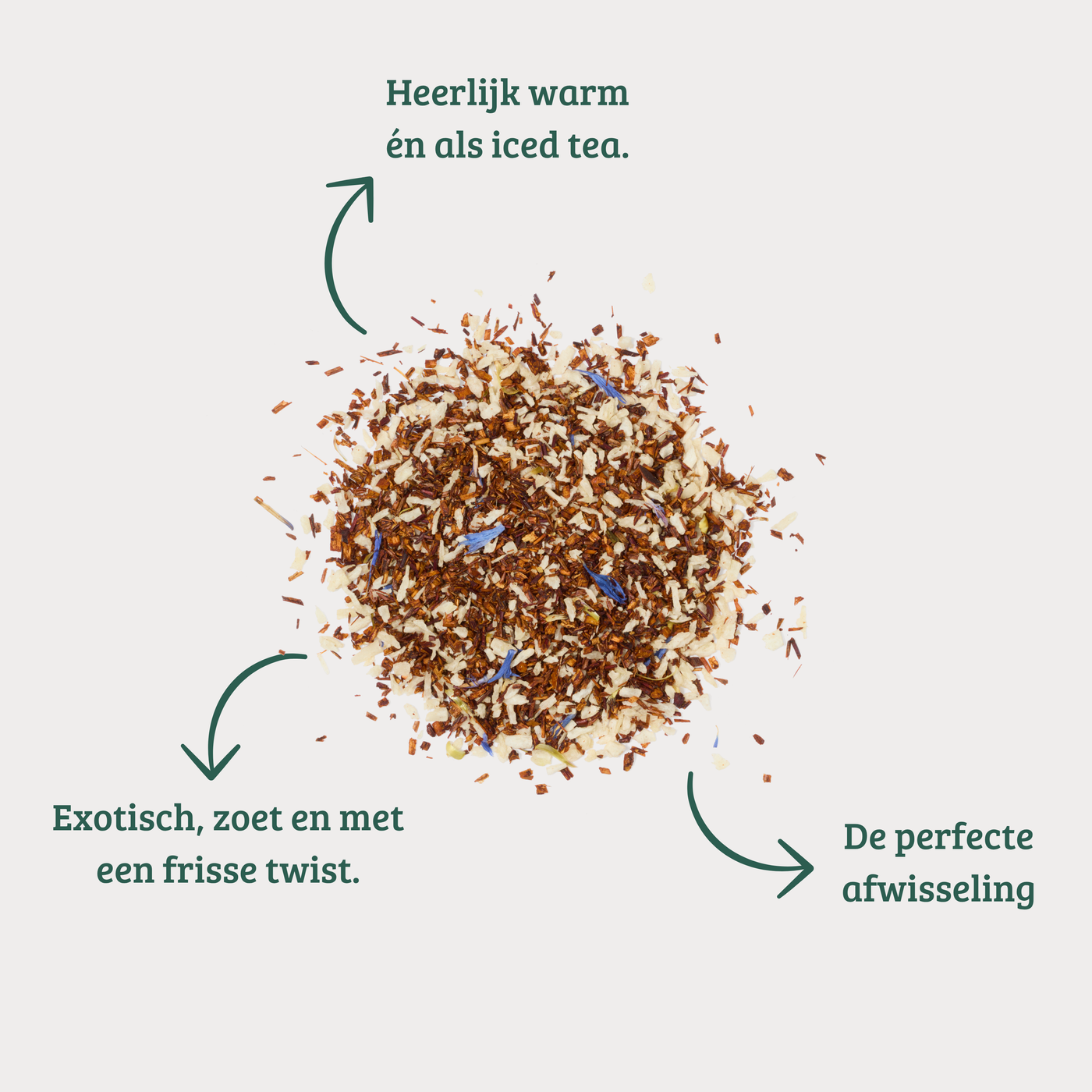 Exotic - Tropische Rooibos infusie met Ananas & Kokos