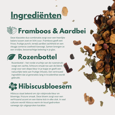 Wildberry - Fruitige Blend van Appel en Framboos voor heerlijke Iced Tea