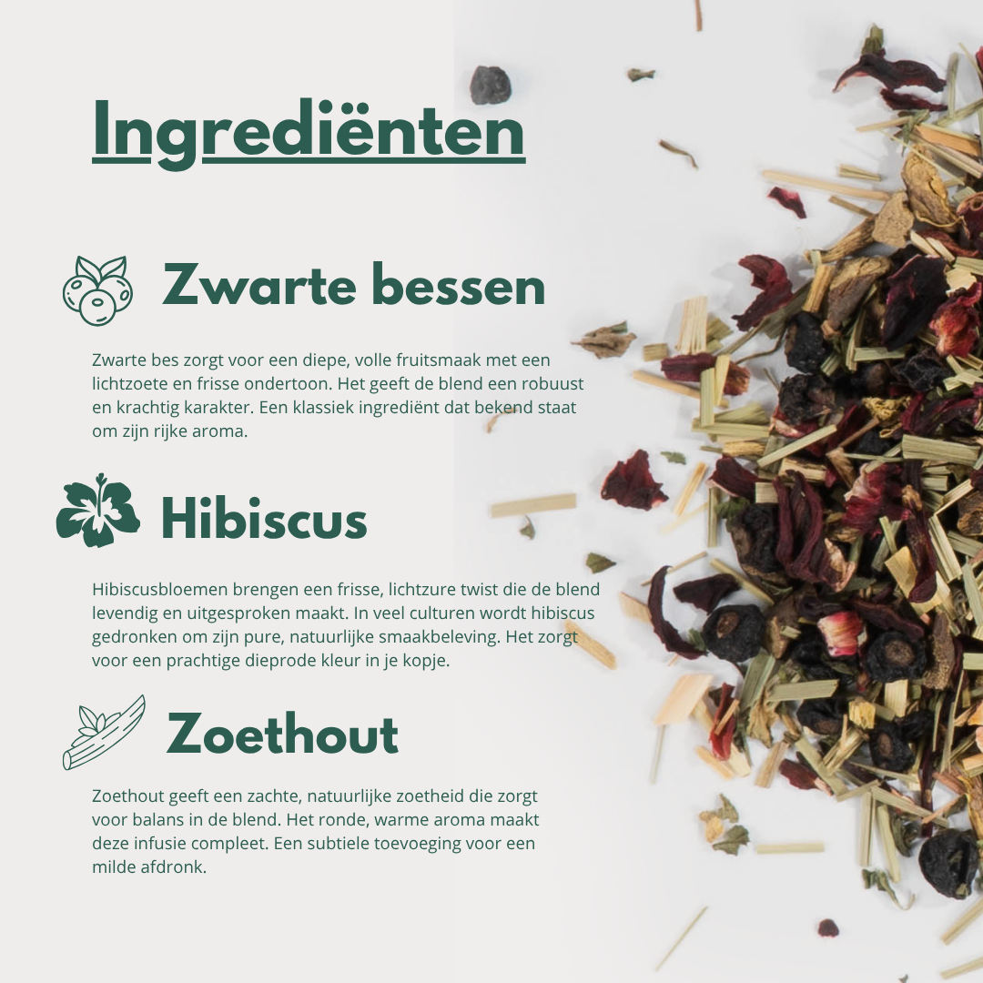 Protection - Fruitige Kruideninfusie met Zwarte Bes & Hibiscus
