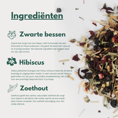 Protection - Fruitige Kruideninfusie met Zwarte Bes & Hibiscus