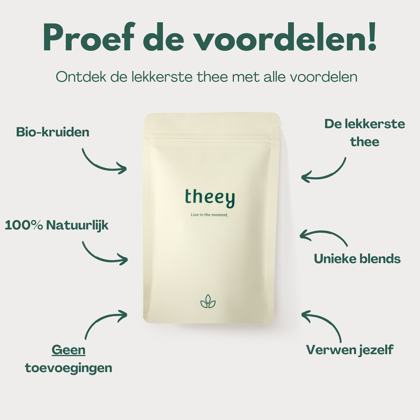 Ginger – Gember thee met Kurkuma ondersteunt de spijsvertering