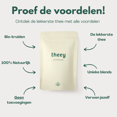 Ginger – Gember thee met Kurkuma ondersteunt de spijsvertering