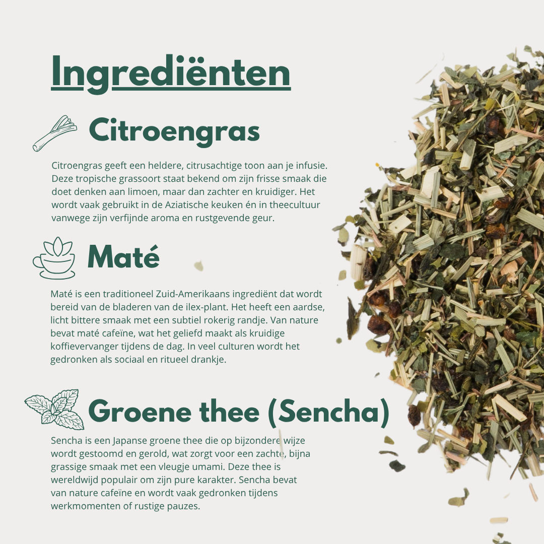 Focus - Groene Thee met Citroengras en Maté voor Helderheid