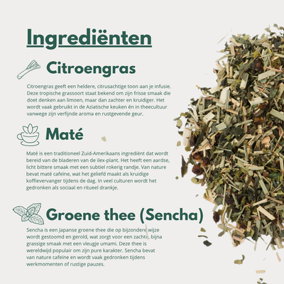 Focus - Groene Thee met Citroengras en Maté voor Helderheid