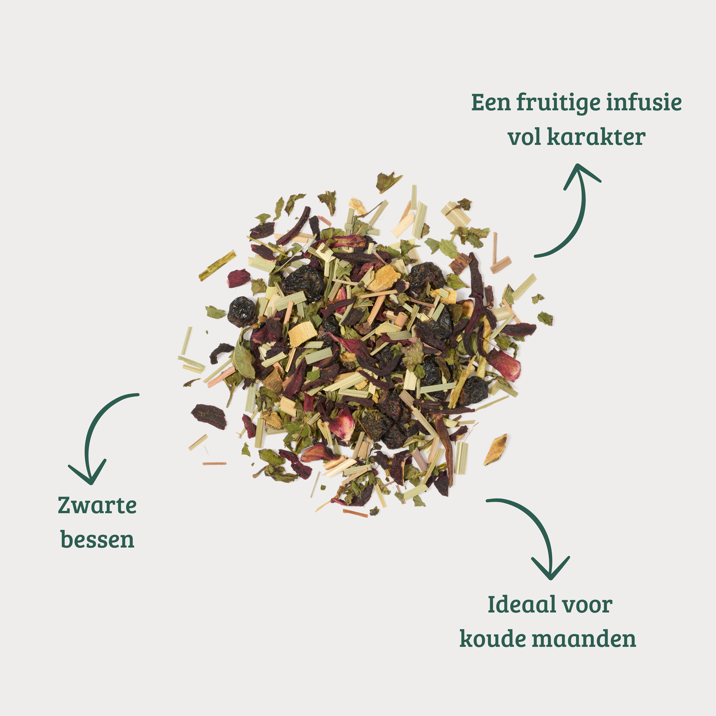 Protection - Fruitige Kruideninfusie met Zwarte Bes & Hibiscus