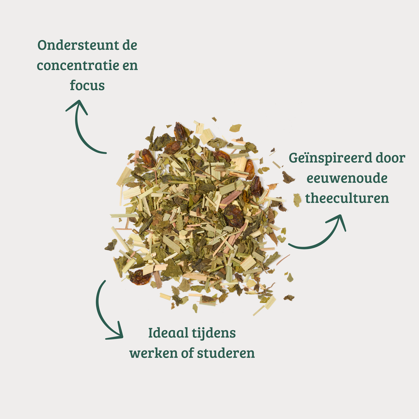 Focus - Groene Thee met Citroengras en Maté voor Helderheid