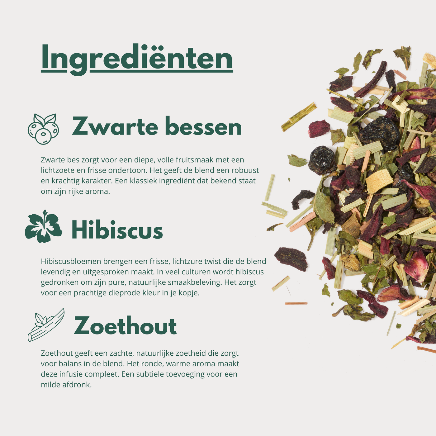 Protection - Fruitige Kruideninfusie met Zwarte Bes & Hibiscus