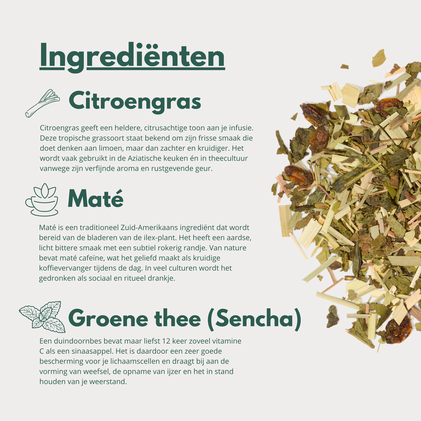 Focus - Groene Thee met Citroengras en Maté voor Helderheid