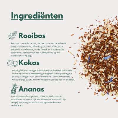 Exotic - Tropische Rooibos infusie met Ananas & Kokos