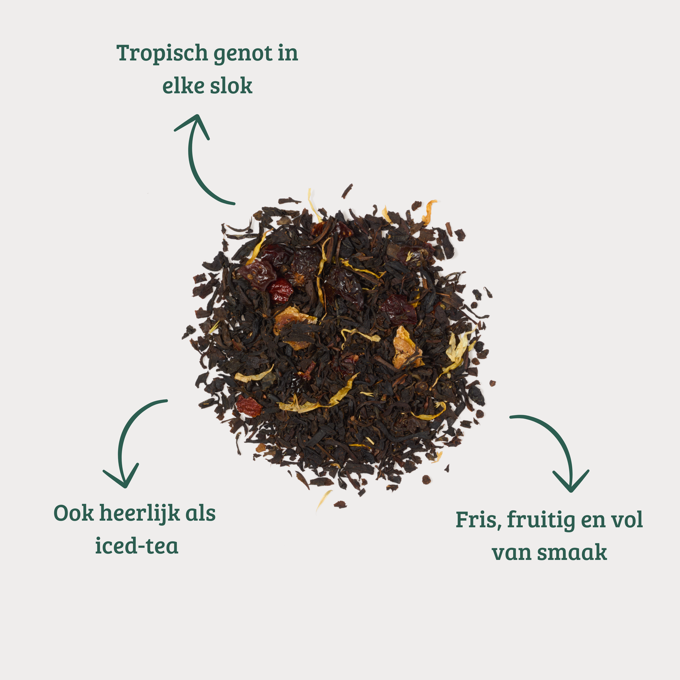 Mango - Zwarte Thee met Mango en Perzik