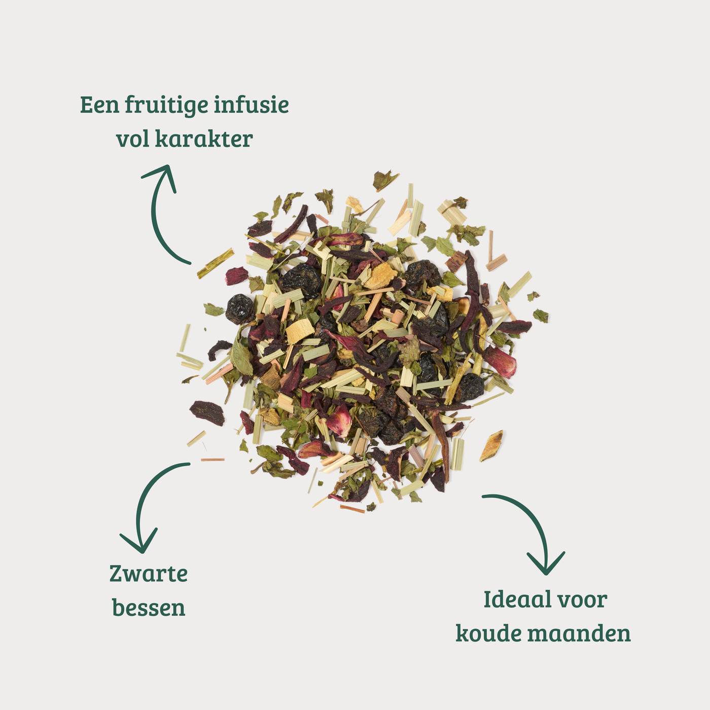 Protection - Fruitige Kruideninfusie met Zwarte Bes & Hibiscus