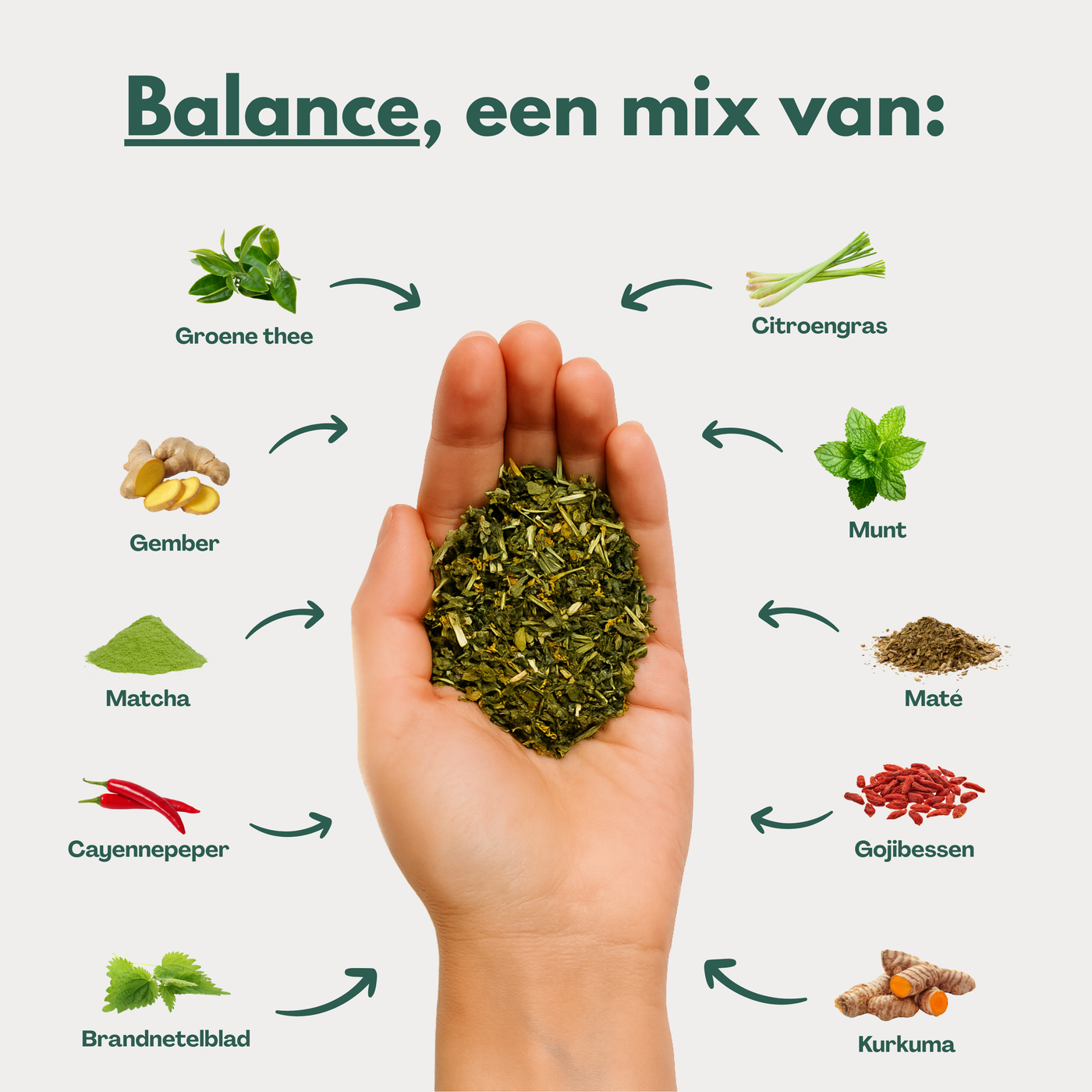 Balance - Kruidenthee met Brandnetel voor Kalmte