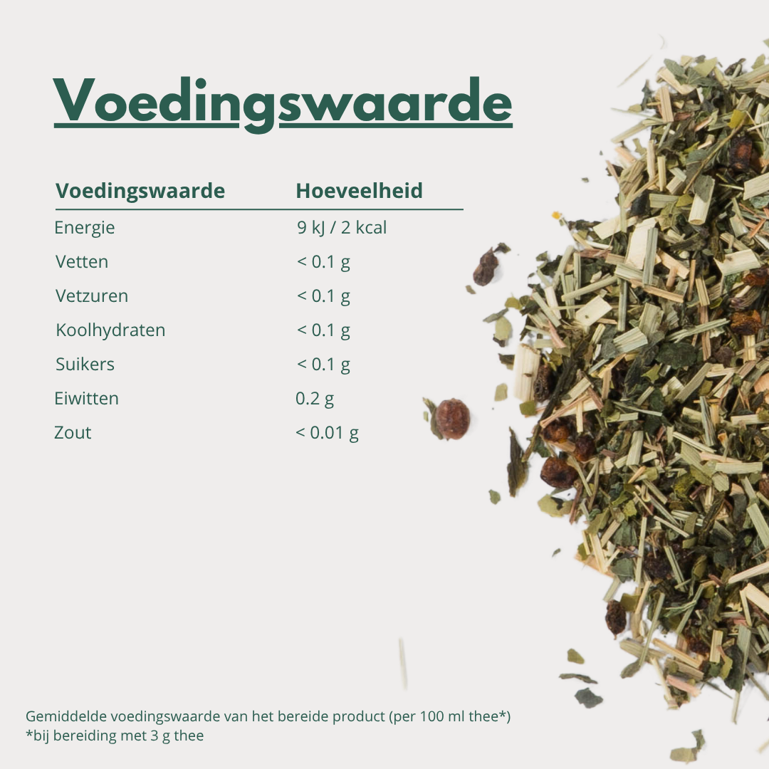 Focus - Groene Thee met Citroengras en Maté voor Helderheid