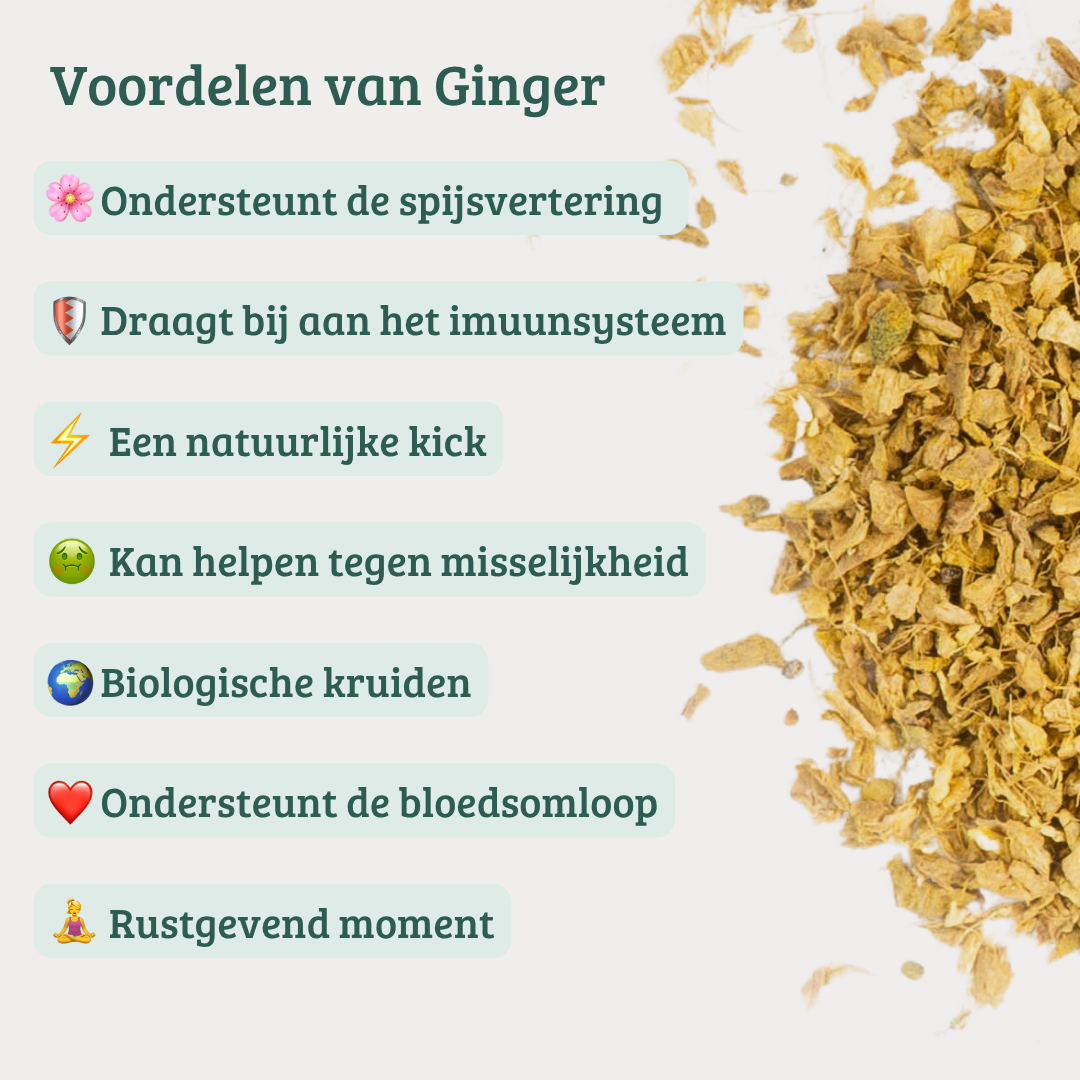 Ginger – Gember thee met Kurkuma ondersteunt de spijsvertering – theey.co