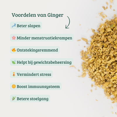 Ginger - Gember Thee met Kurkuma voor Ontstekingsremmend effect